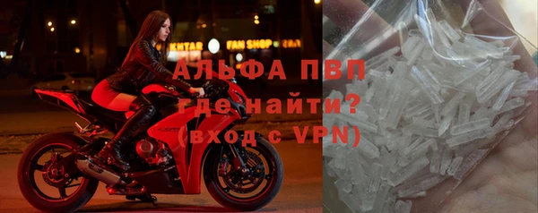 apvp Верея