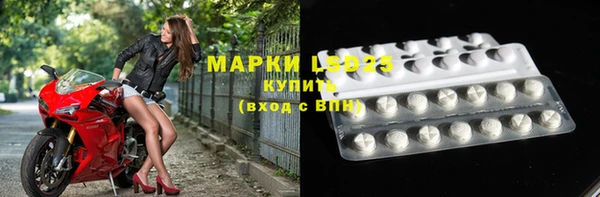 apvp Верея