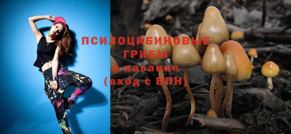apvp Верея